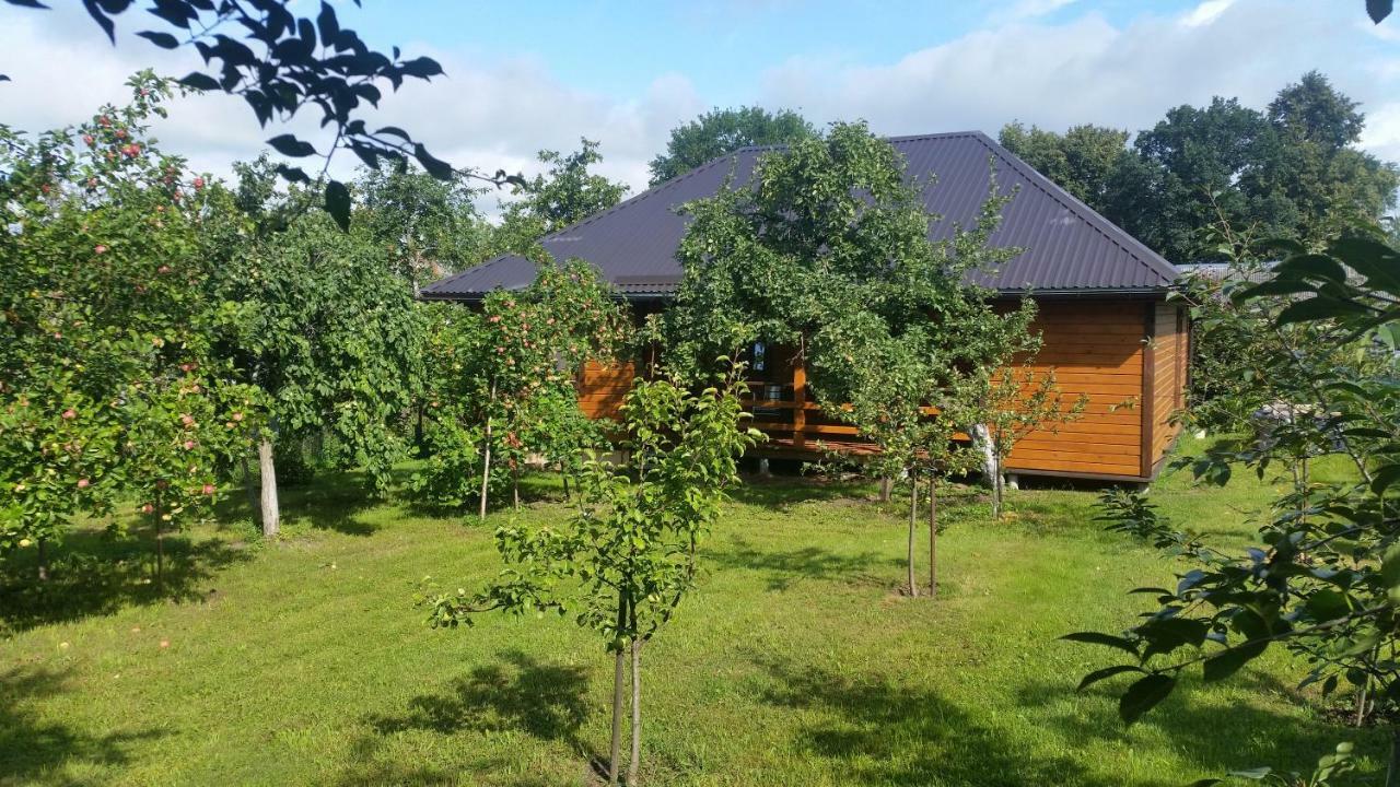 Vasarnamis Zarasuose Villa Zarasai Eksteriør bilde
