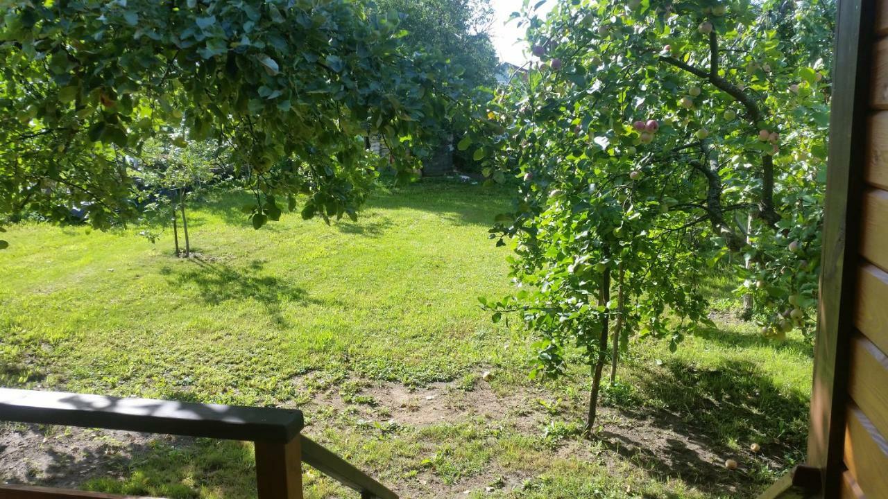 Vasarnamis Zarasuose Villa Zarasai Eksteriør bilde